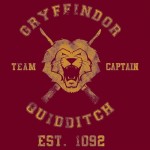 Gryffindor Quidditch Team Captain