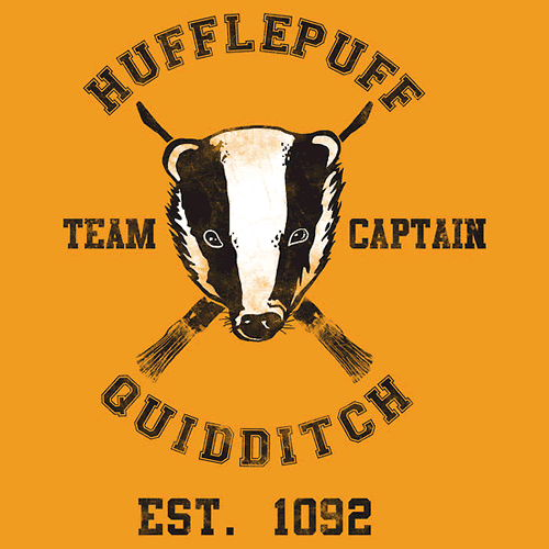 hufflepuff-quidditch-athletic.gif