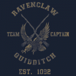 ravenclaw-quidditch-athletic
