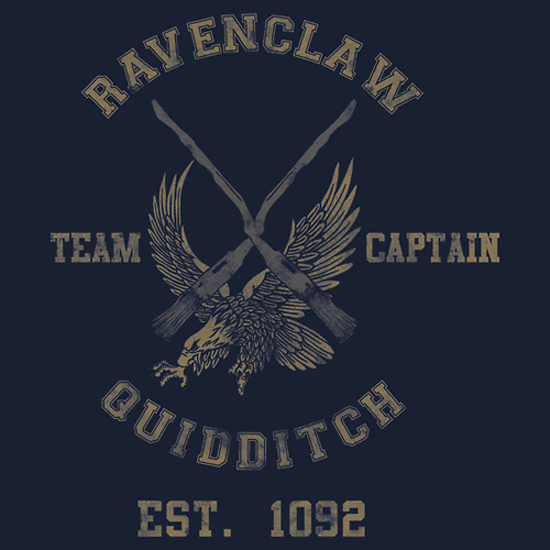 Harry Potter Ravenclaw Eagles Quidditch Team Custom Name Number