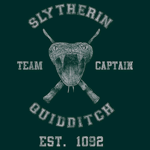 slytherin quidditch team