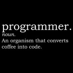 Definition – Programmer Tshirt
